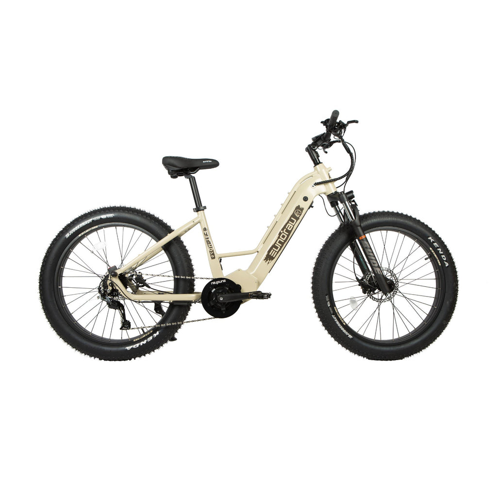 FAT-HD 2.0/Hunter X7 Electric Bicycle