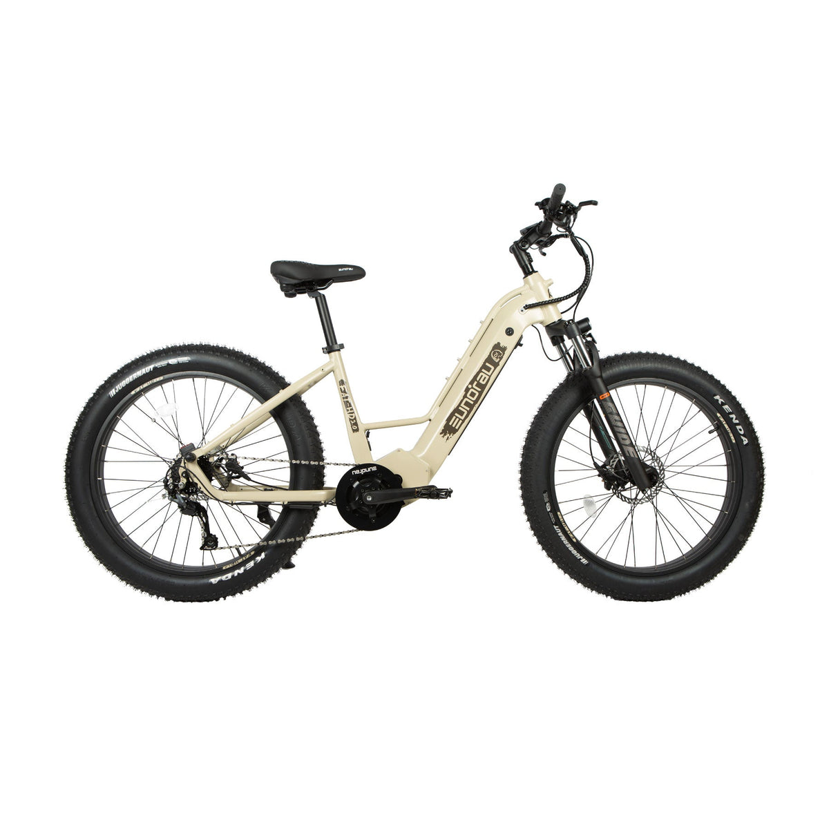 FAT-HD 2.0/Hunter X7 Electric Bicycle