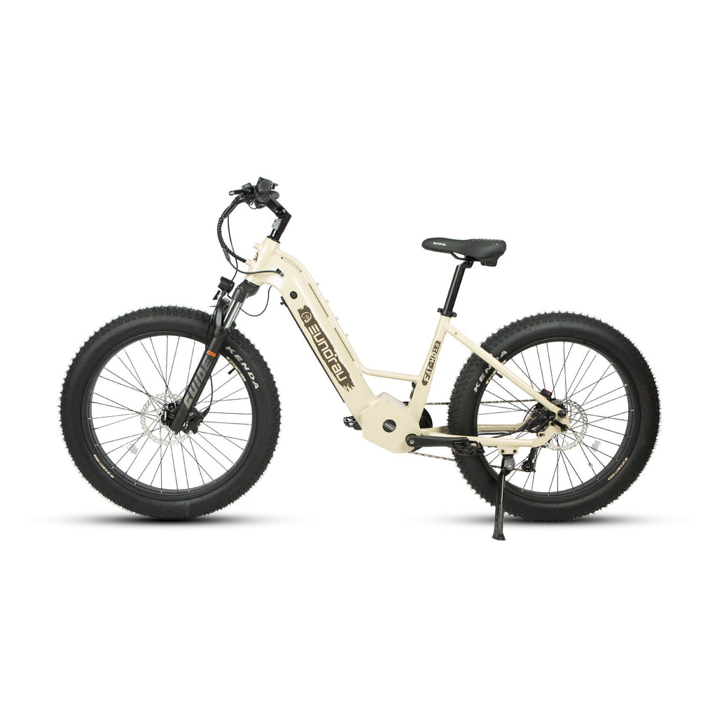 FAT-HD 2.0/Hunter X7 Electric Bicycle