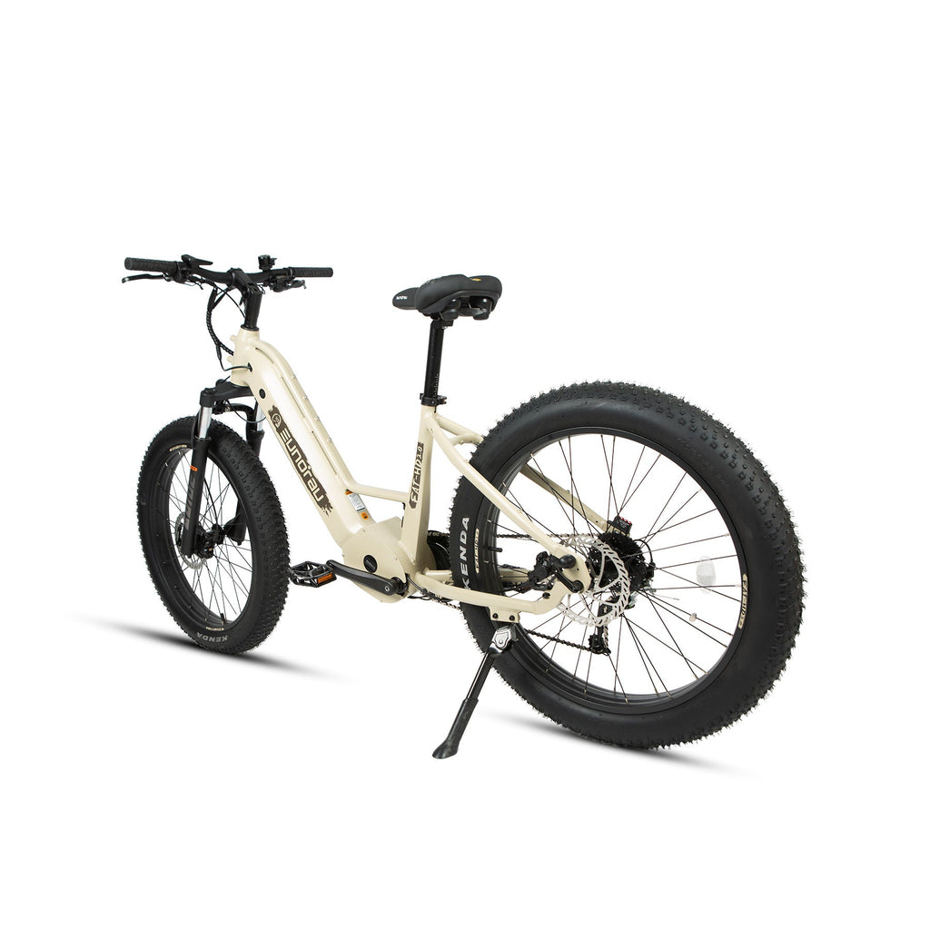FAT-HD 2.0/Hunter X7 Electric Bicycle