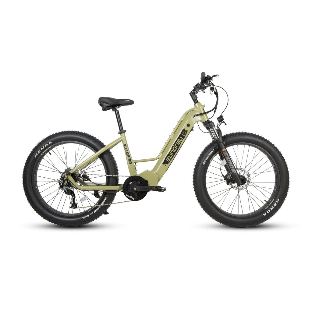 FAT-HD 2.0/Hunter X7 Electric Bicycle