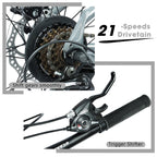 26" AllTrail  Adult Mountain Bike | 21-Speed Hardtail (Grey-Black)
