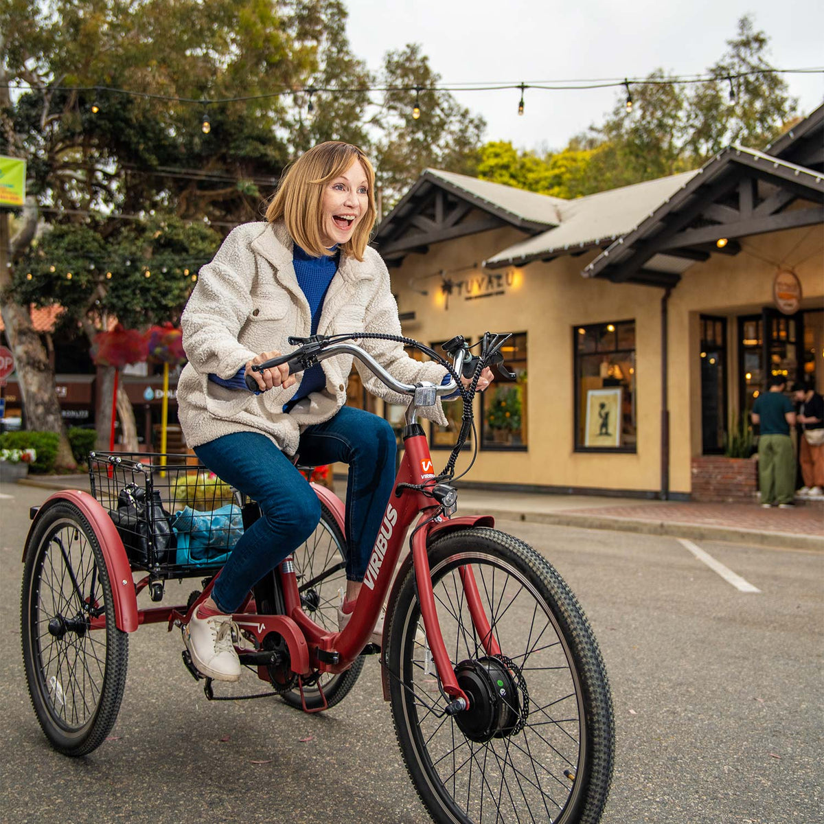 Viribus TG1 Folding Electric Tricycle