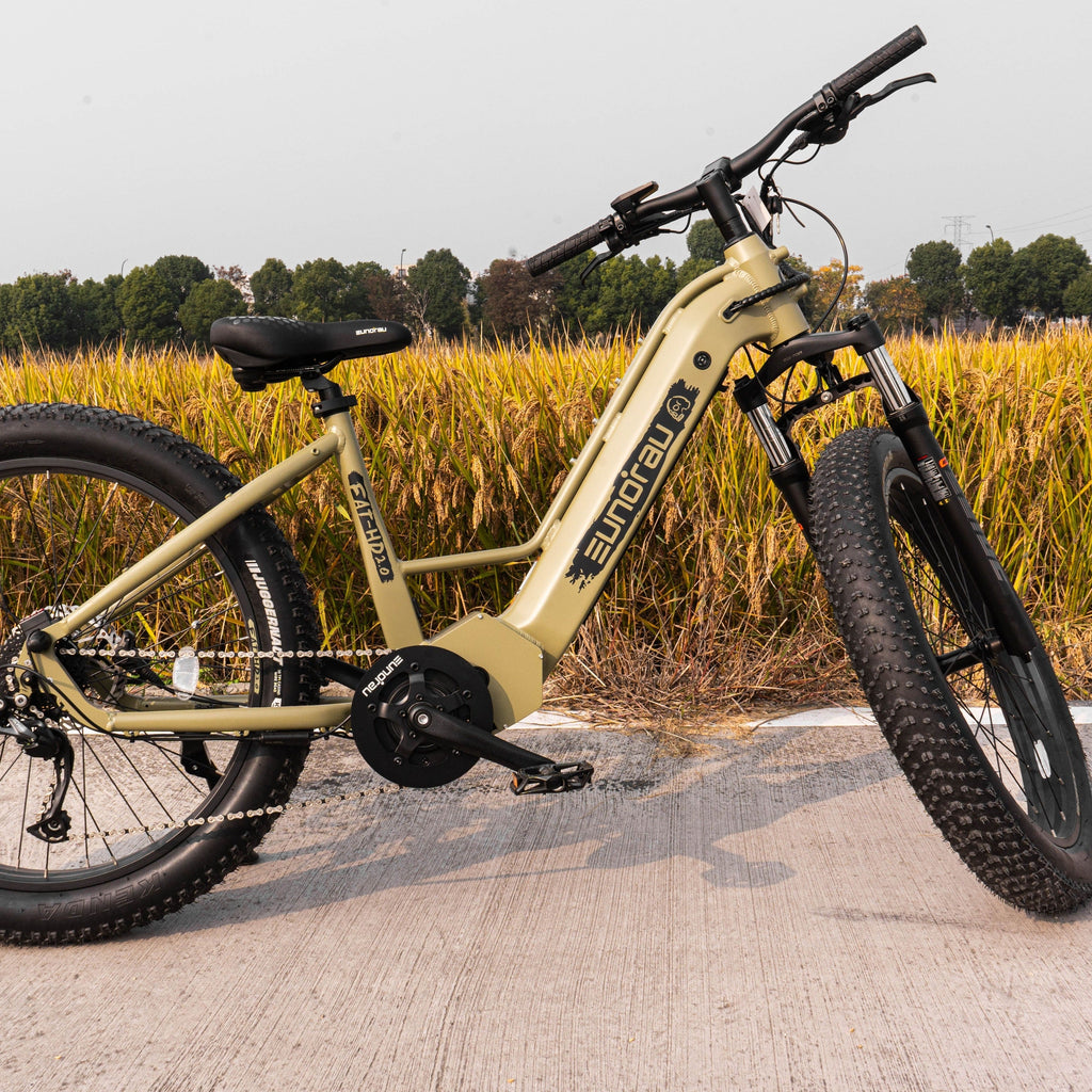 FAT-HD 2.0/Hunter X7 Electric Bicycle