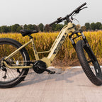 FAT-HD 2.0/Hunter X7 Electric Bicycle