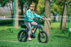 FLASH LITE 2.0 Electric Bicycle