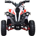 36V 1.0 kW Lead Acid ATV