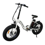 Portable Electric Bike 20" Fat Tires 500W Motor
