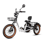 VTUVIA E-Cozy Electric Trike
