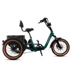 VTUVIA E-Cozy Electric Trike