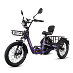 VTUVIA E-Cozy Electric Trike