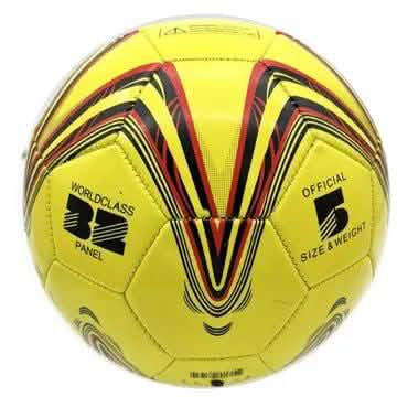Official Size 5 Soccer Ball
